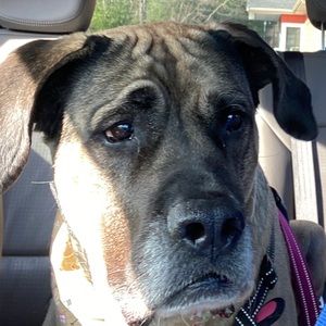 Meet your Posher, Tammy